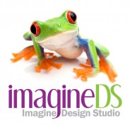 New Look for Imagine Design Studio