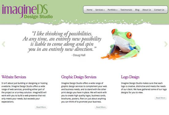 imagineDS website cover